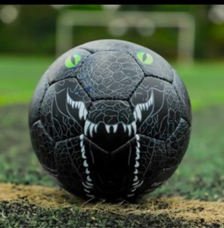 Football Size 5 Animal ball 